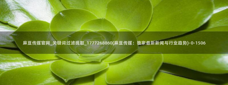 麻豆传媒漫画官网：麻豆传媒官网_关键词过滤提取_1777268860(麻豆传媒：独家最新新闻与行业趋势)