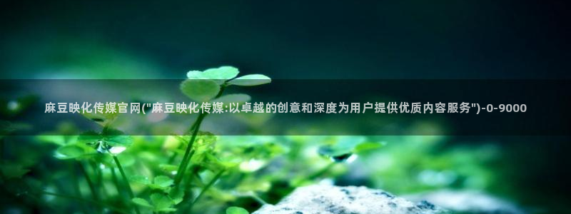 台湾麻豆传媒官网是：麻豆映化传媒官网(\
