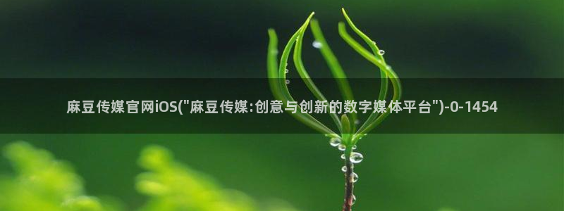 麻豆传媒官网磁力：麻豆传媒官网iOS(\