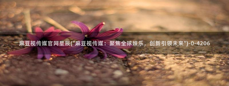 传媒的官网麻豆：麻豆视传媒官网星辰(\