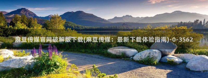武汉麻豆传媒官网：麻豆传媒官网破解版下载(麻豆传媒：最新下载体验指南)