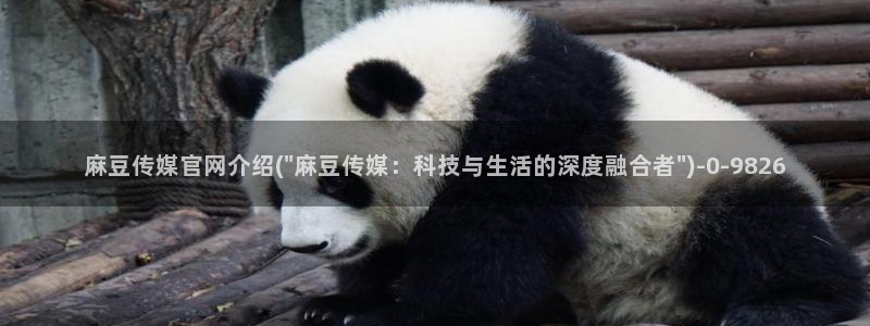 麻豆传媒官网女艺人：麻豆传媒官网介绍(\