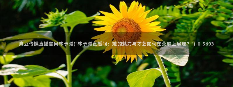 麻豆传媒直播官网 视频：麻豆传媒直播官网林予曦(\