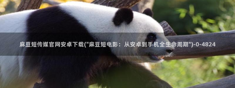 台湾麻豆传媒官网 警察