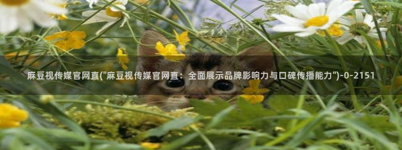 麻豆传媒官网 知乎