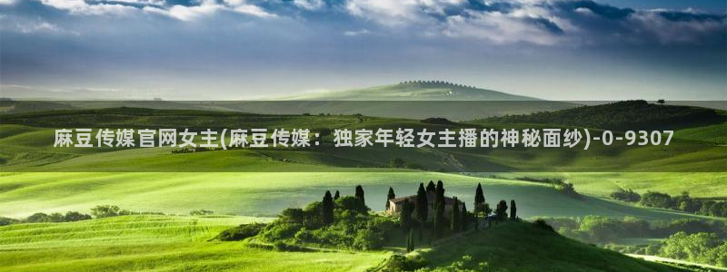 麻豆传媒官网多少啊