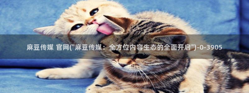 91麻豆传媒官网首页