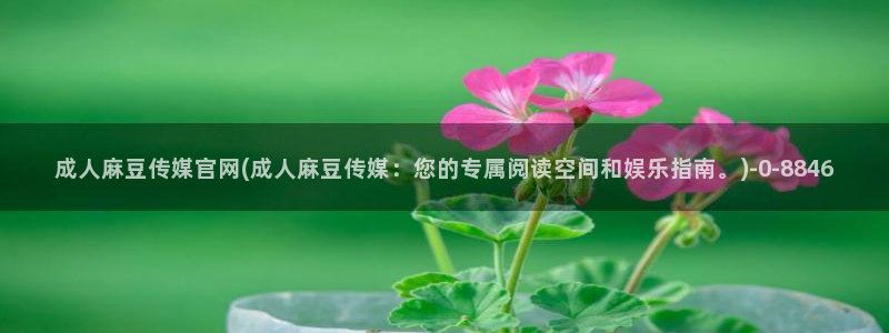 9 1麻豆传媒官网