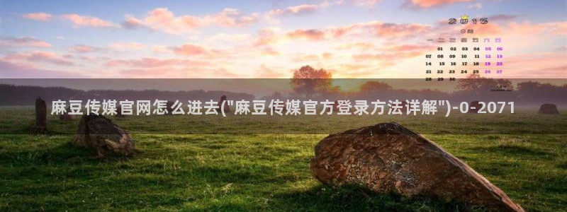 91麻豆传媒官网是