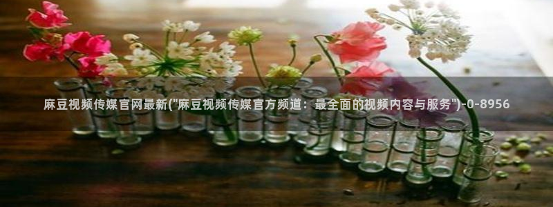 mdpud 麻豆传媒官网在线