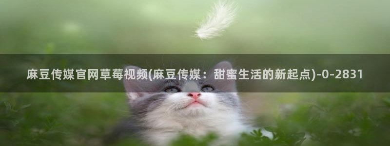 麻麻豆传媒官网