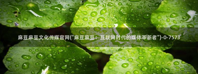 麻豆传媒官网testflight：麻豆麻豆文化传媒官网(\