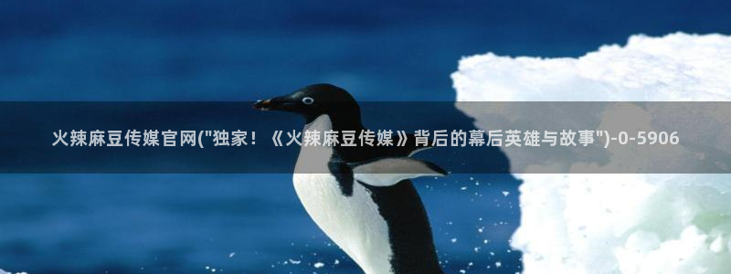 麻豆传媒a官网