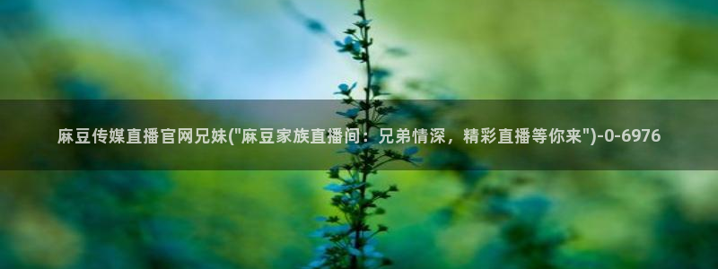 麻豆m传媒官网：麻豆传媒直播官网兄妹(\
