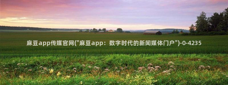 麻豆成人传媒官网