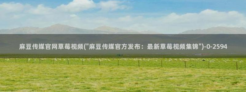 麻豆传媒电影官网
