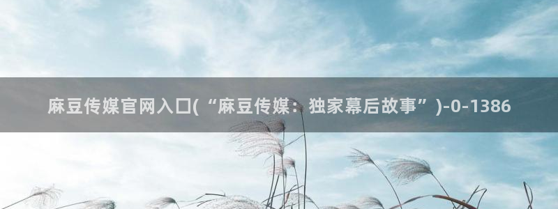 麻豆官网传媒