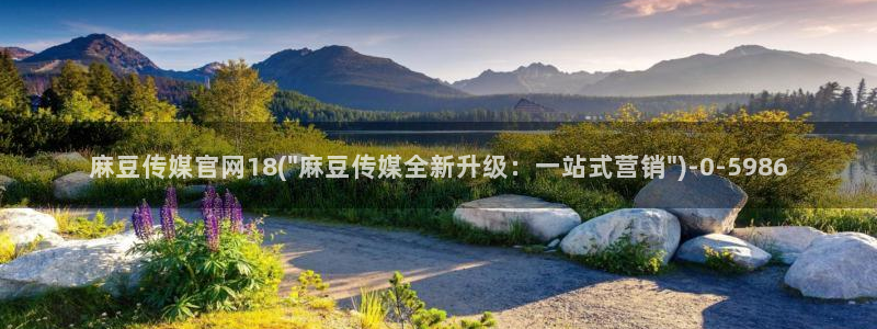 麻豆传媒官网花钱吗